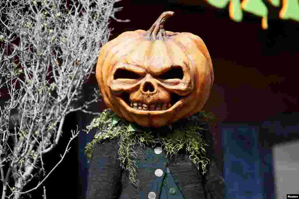 A person dressed as a pumpkin monster poses at the premiere of the film "Goosebumps," in Los Angeles, California, Oct. 4, 2015.