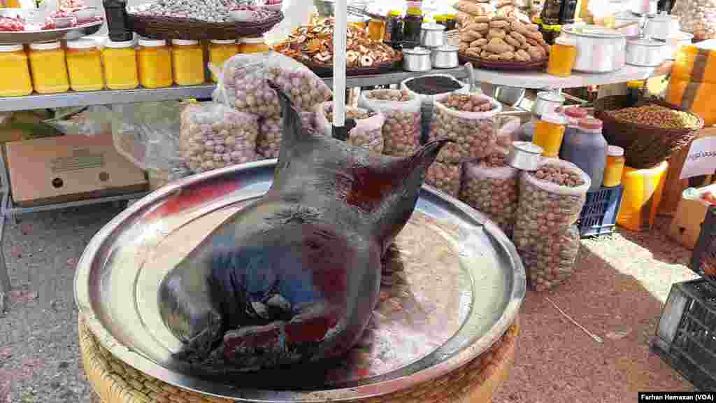 Heftemîn festîvala Hinaran li Helebce