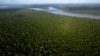 Vista del bosque en la isla Combu a orillas del río Guamá, cerca de Belém, Pará, Brasil, 6 de agosto de 2023.