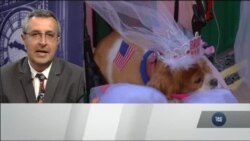 Весілля принца Гаррі та Меган Маркл: як готується Великобританія – подробиці з Лондона. Відео