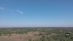 З маленького насіння у величезне дерево: як вирощують ліс в Небрасці. Відео